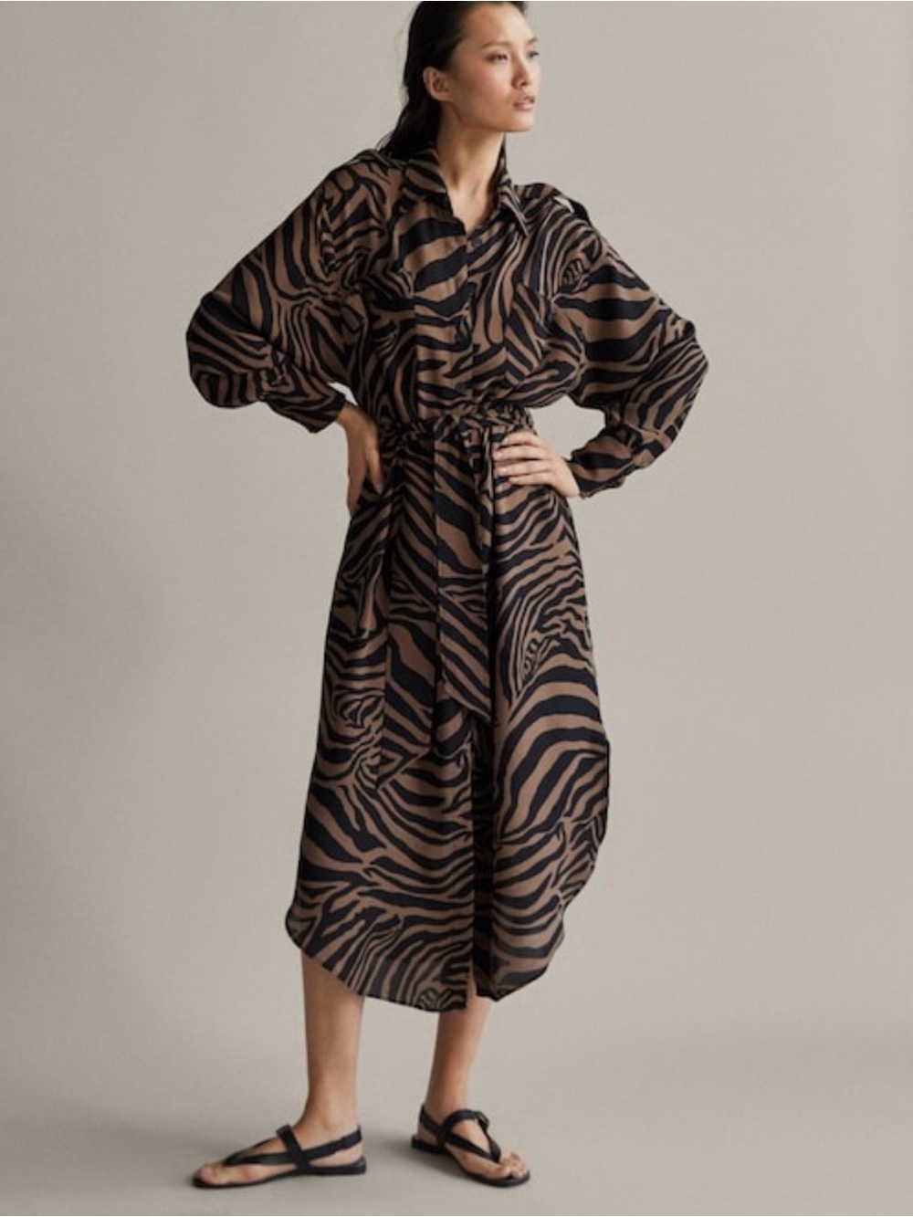 Brown and Black Zebra Print Long Sleeve Midi Dress MASSIMO DUTTI